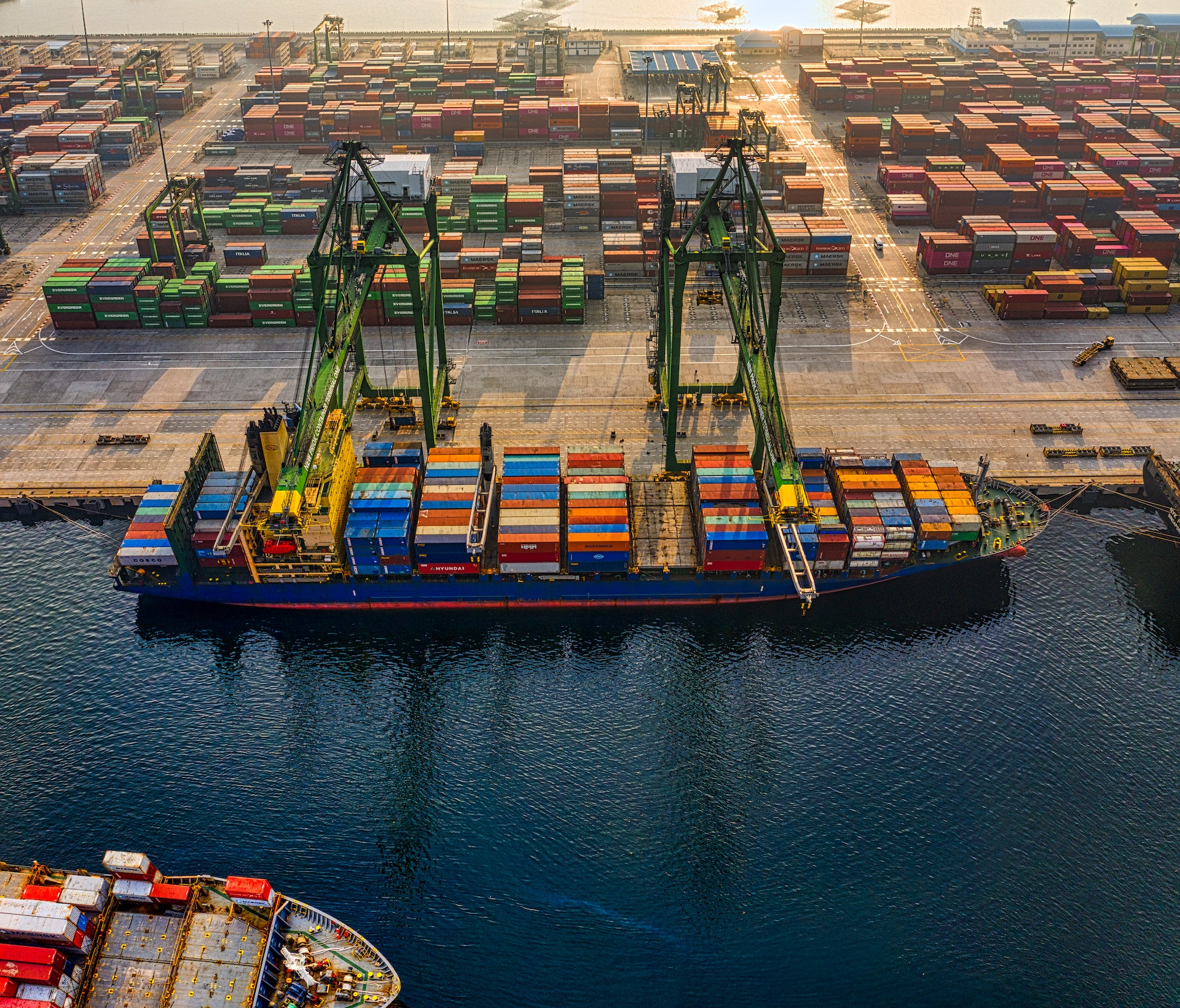 about mercatus logistic company